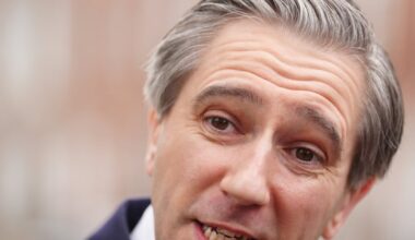 Simon Harris hints at changes to R&D tax credit rules for subcontractors – The Irish Times