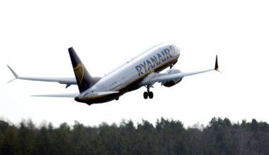 Ryanair gets €15,000 judgment against Dublin man for ‘unacceptable’ in-flight behaviour – The Irish Times