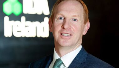 IDA boss Michael Lohan clocked up almost 60,000 air-miles last year