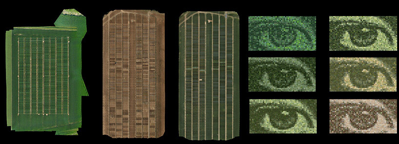 varieties and simulations