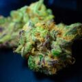 cannabis ptsd