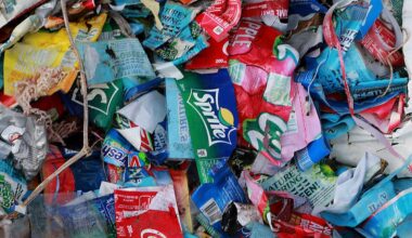 McDonald's and Coca-Cola caught trying to gut Europe's landmark plastics law months before it takes effect - Greenpeace