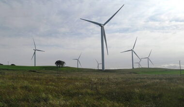 Councillors say they won't support plans for wind farm in West Roscommon