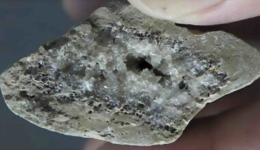 crystals within bone