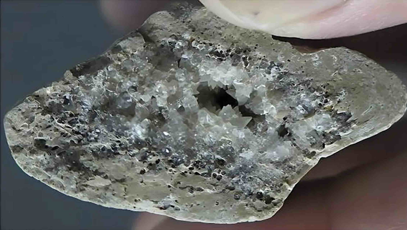 crystals within bone