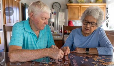 Immune cells in the blood drive cognitive ageing — blocking them improves memory