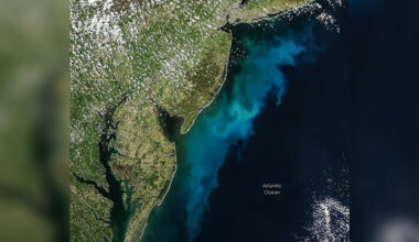 NASA Satellite Images Show Huge Colored Plumes Staining the Ocean
