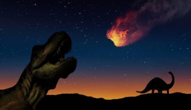 Asteroid killed the dinosaurs: Dinosaurs look up at a flaming rock flying downward across the starry sky.