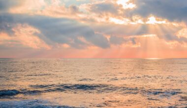The ocean is fighting climate change and we’re trying to help it – here’s how
