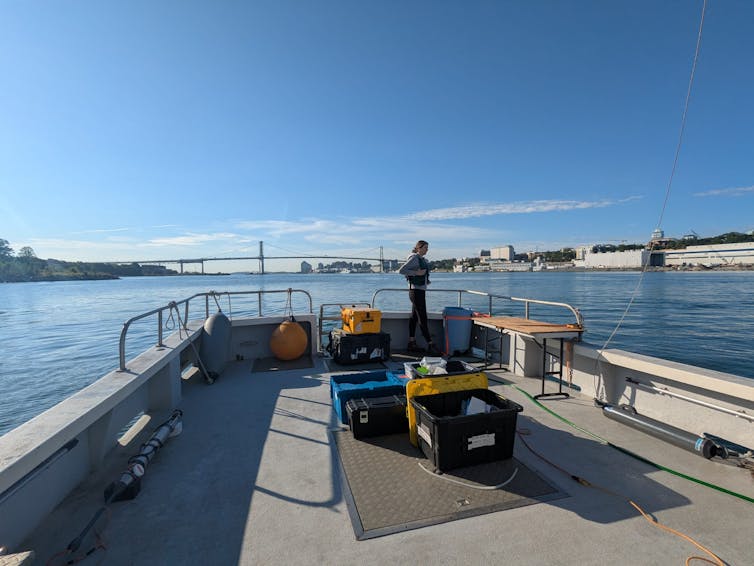 Person on board small scientific boat, large bridge in background