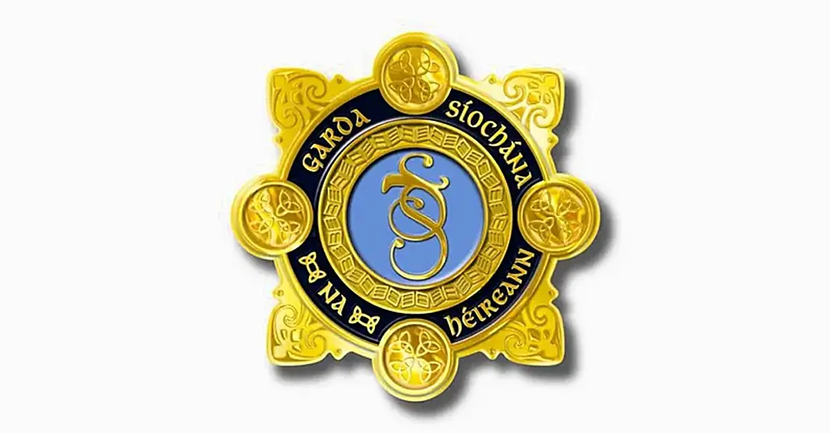 Gardaí appealing for information on number of suspected investment fraud cases