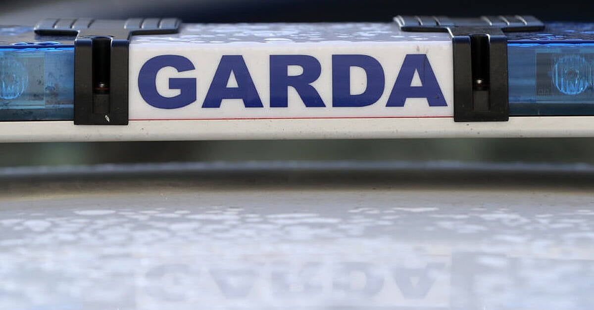 Gardaí investigating death of mother in Galway say post-mortem is complete