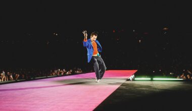 Harry Styles live in Amsterdam: a hopeful celebration