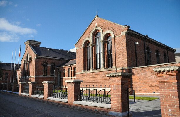 One of two men allegedly stabbed by their younger brother tells court of 'horror film' attack