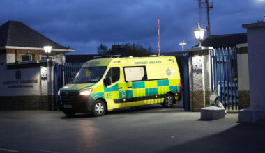 Irish passengers from hantavirus-hit ship begin quarantining at HSE-run facility
