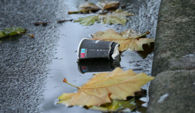Do you think increasing litter fines is a good idea? · TheJournal.ie