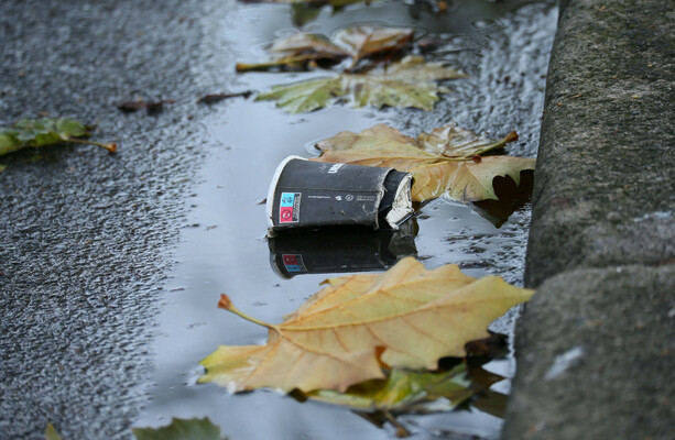Do you think increasing litter fines is a good idea? · TheJournal.ie