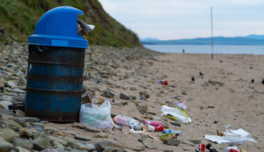 On-the-spot litter and dog fouling fines set to rise to €250 from September