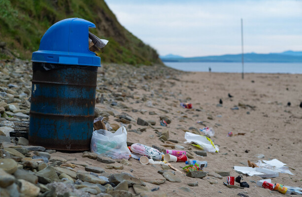 On-the-spot litter and dog fouling fines set to rise to €250 from September