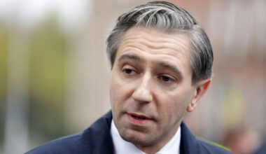 Upcoming Budget will be around €7 billion and have income tax at its heart, Harris tells party