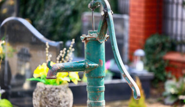 Have you ever stopped to think... what exactly is a parish pump?