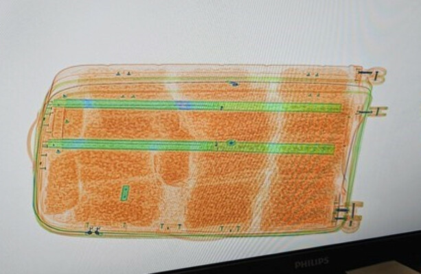 Man in his 20s arrested following €515k seizure of cannabis at Dublin Airport - The Journal