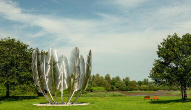 It doesn't matter why the Choctaw word for Irish is Ailish: it just matters that we remember