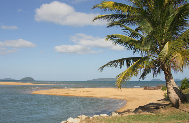 Man dies after shark attack while spearfishing in Queensland - The Journal