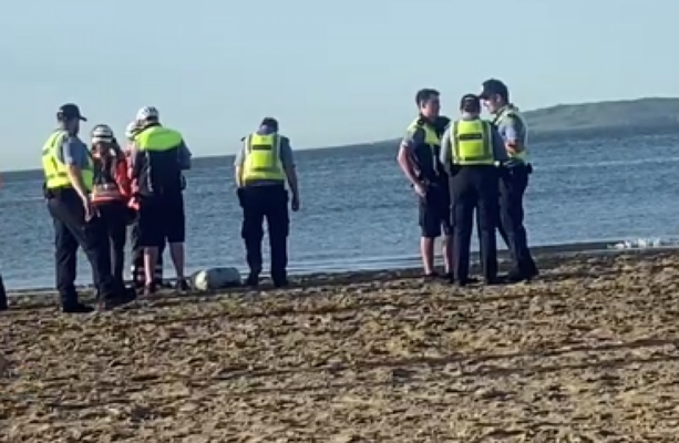 Body of teenage girl recovered from water off Burrow Beach in Dublin