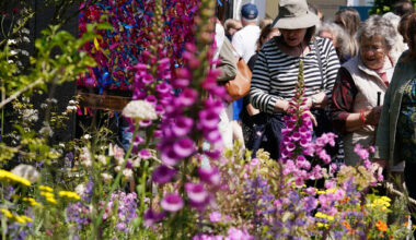 Would you pay €40 to visit Bloom? · TheJournal.ie
