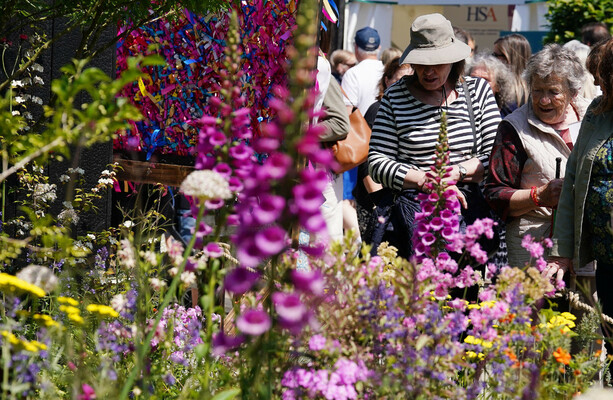 Would you pay €40 to visit Bloom? · TheJournal.ie