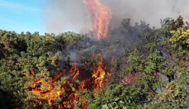 Fire service continues to monitor gorse fire on Bray Head