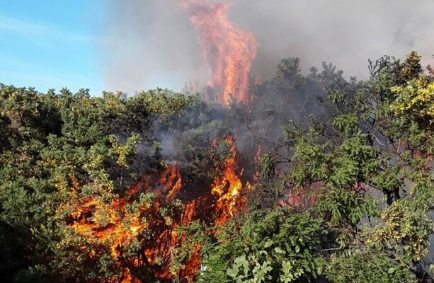 Fire service continues to monitor gorse fire on Bray Head