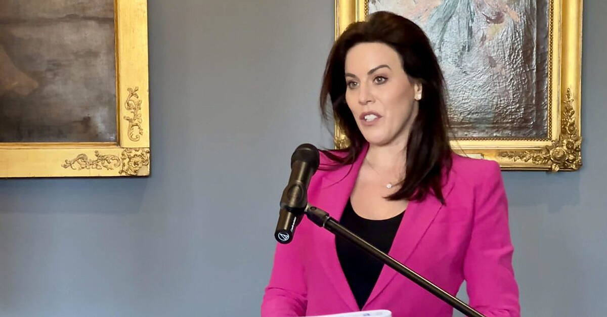 HSE warned of patient risk without delivery of new Mid West hospital