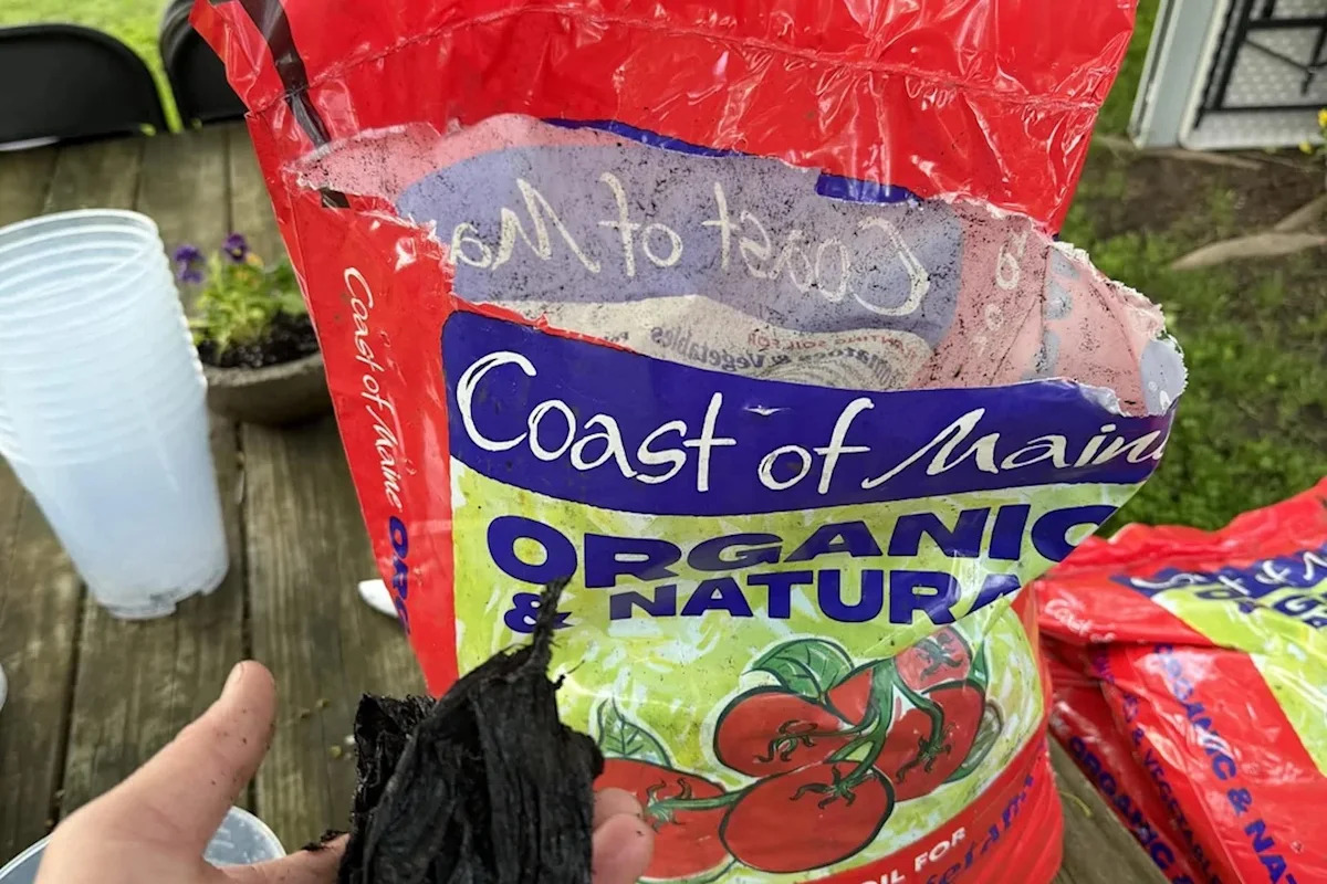 Gardener says 'organic' soil came with a rogue plastic bag inside: 'Is there anything safe these days?'