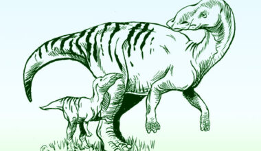 An artist’s reconstruction of adult Maiasaura and young. Image credit: Brian Regal.