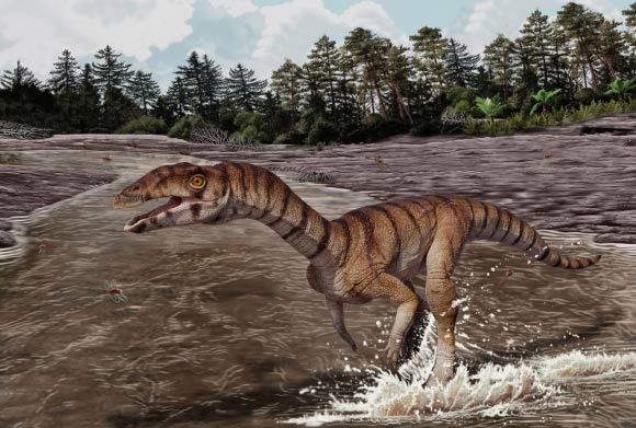 Labrujasuchus expectatus navigated the world on two legs with tiny arms and a toothless mouth tipped in a beak. Image credit: Jorge Gonzalez / NHMLAC Dinosaur Institute.