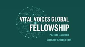 Call for Applications: Vital Voices Global Partnership Venture – AI for Impact Program 2026 )