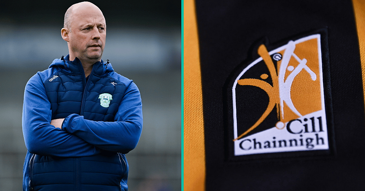 Kilkenny Legend Suggests Radical Move To Overhaul Hurling In County