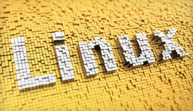 Linux Defenders Face Patch and Exploit Race