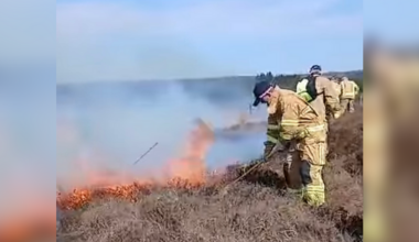 Loss of curlew nest 'deeply upsetting' following Sliabh Beagh fire