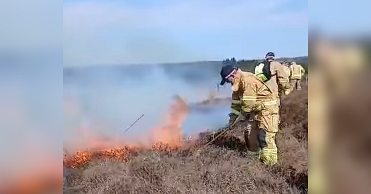 Loss of curlew nest 'deeply upsetting' following Sliabh Beagh fire