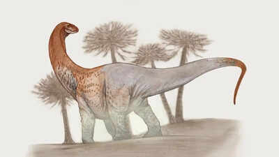 Meet Chucarosaurus: The colossal dinosaur so massive its fossils cracked roads; now reshaping the story of the Titanosaurs