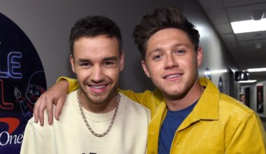 Niall Horan Honors One Direction Bandmate Liam Payne on 'End of an Era'