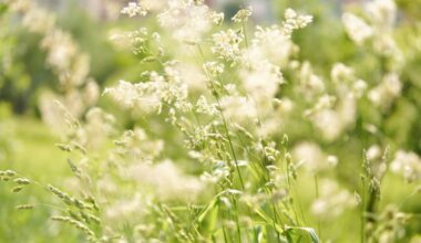 Here’s how you can prepare your home for hayfever season