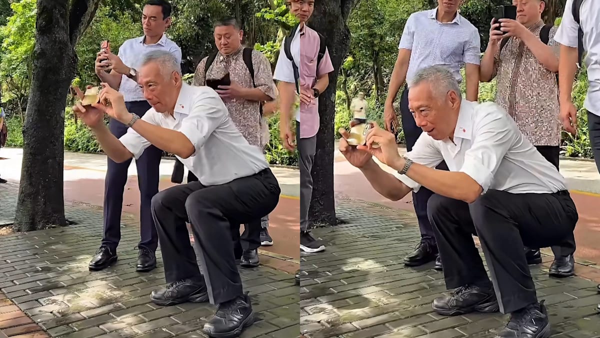 SM Lee Hsien Loong Earns Praise Again For “Perfect” Asian Squat While Taking Photos; Netizens Impressed By His Fitness Levels And “Solid Core, Hip Flexors & Quads”