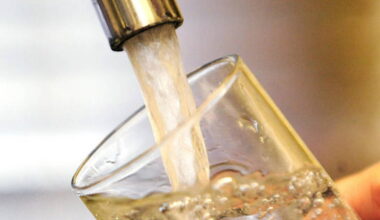 Problem with water treatment plant in Clare went unreported for six weeks, report shows