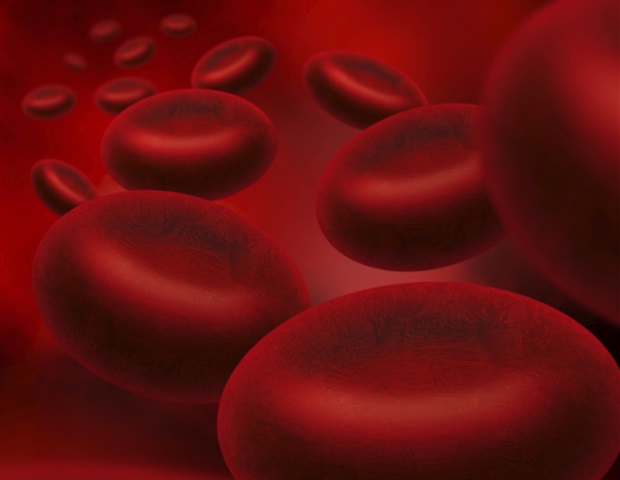 Researchers trace the origin of blood cells back to possible single-celled ancestors