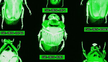 The AI Era Is Creating a Bug Hunting Arms Race