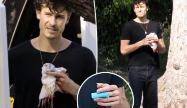 Gruesome pics show Shawn Mendes with bloody hand injury